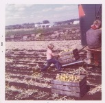 Farm work 1972